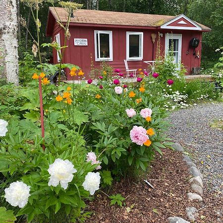Trapper John'S Cabin & Cottages タルキートナ エクステリア 写真