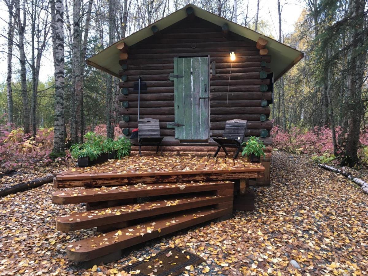 Trapper John'S Cabin & Cottages タルキートナ エクステリア 写真