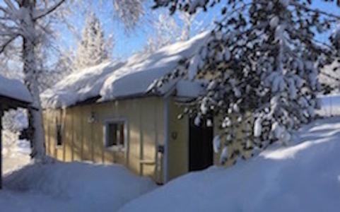 Trapper John'S Cabin & Cottages タルキートナ エクステリア 写真